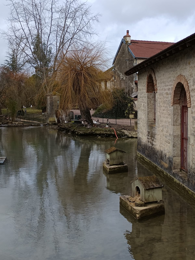 2026-02-01 Blagny (21)