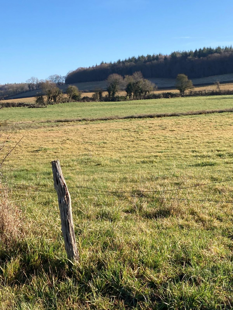 2026-02-08 Varennes (58)